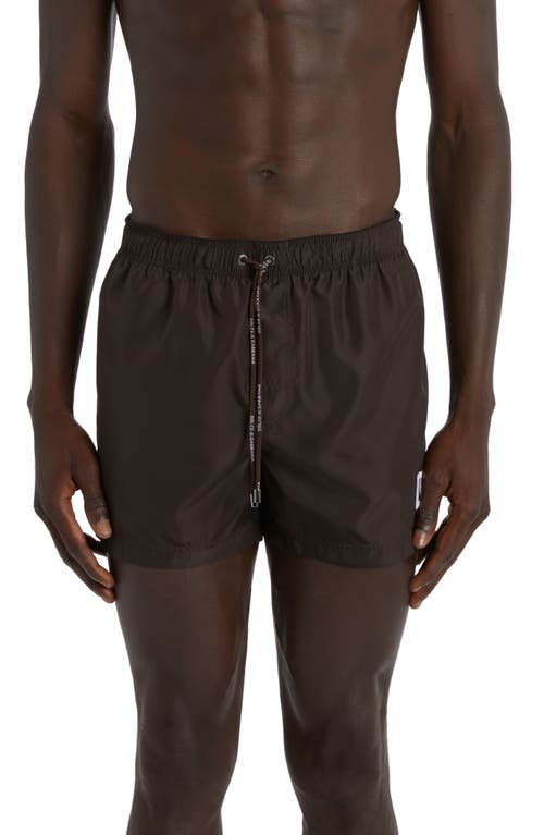 Dolce & Gabbana Embroidered Logo Swim Trunks Marrone at Nordstrom,