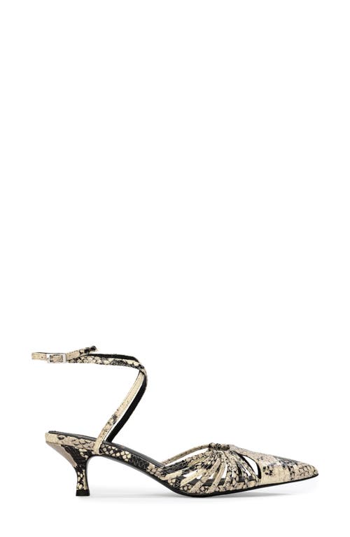 Black Suede Studio Grazia 50 Ankle Strap Pointed Toe Kitten Heel Pump In Peyote Snake