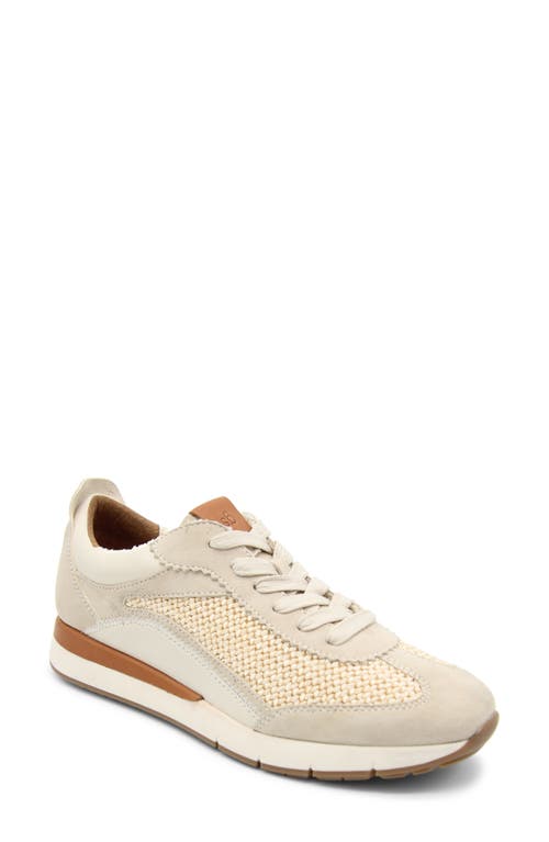 GENTLE SOULS BY KENNETH COLE Juno Sneaker Stone Leather at Nordstrom,