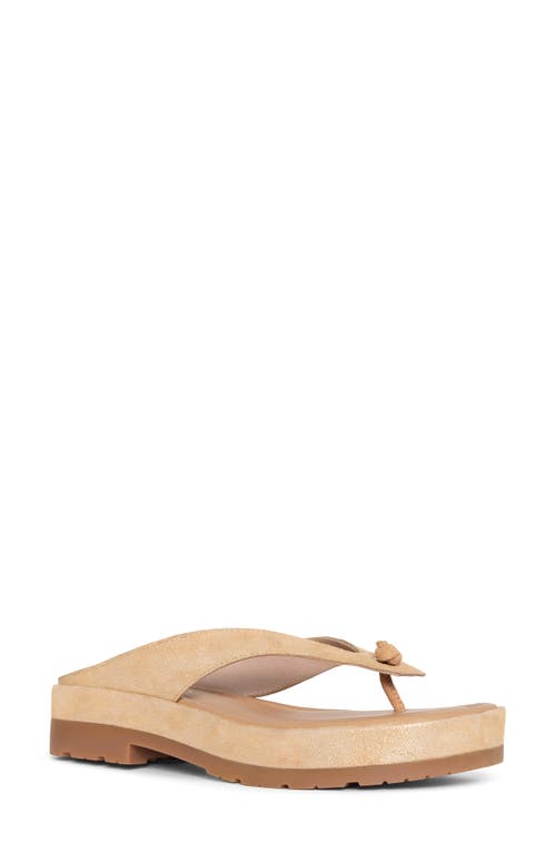 Donald Pliner Platform Flip Flop Platino at Nordstrom,