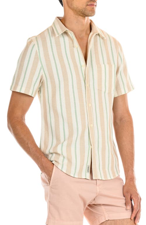 Shop Original Paperbacks Perth Classic Fit Stripe Short Sleeve Cotton Button-up Shirt In Sage Taupe