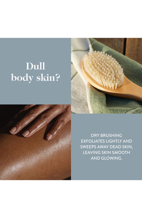 GOOP GOOP ULTIMATE DRY BRUSH