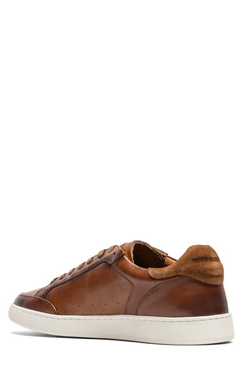 Shop Rodd & Gunn Sussex Street Sneaker In Cognac