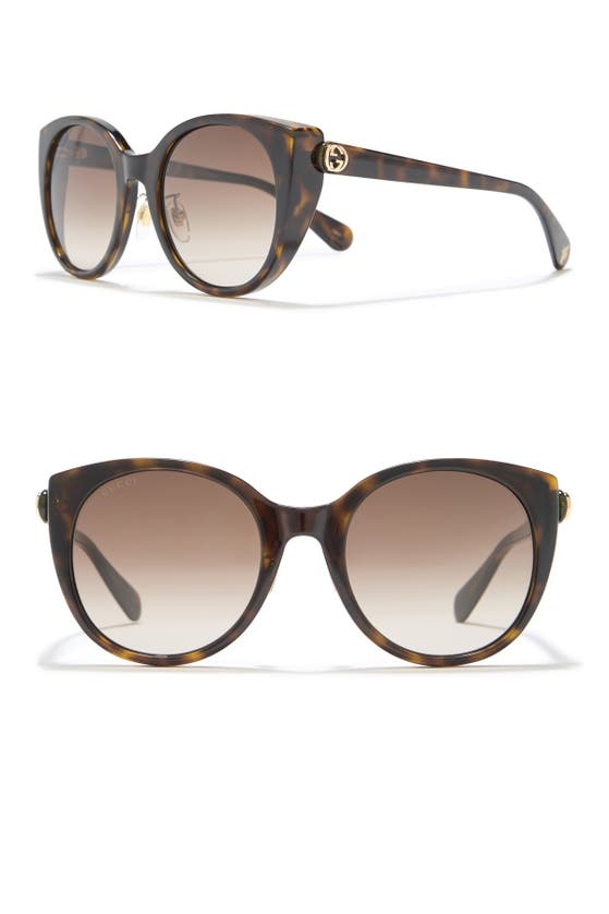 Gucci 54mm Square Sunglasses In Havana Havana Brown | ModeSens display picture 1
