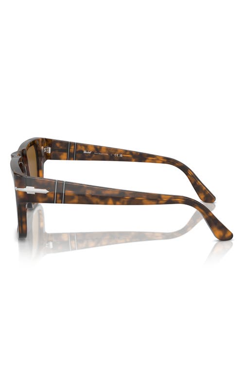 Persol 55mm Square Sunglasses In Brown Havana