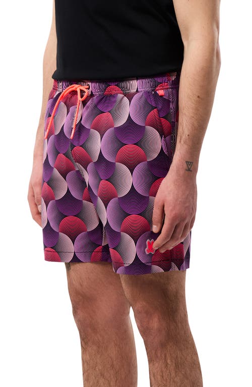 Shop Psycho Bunny Stafford Print Swim Trunks In Purple Multicolored