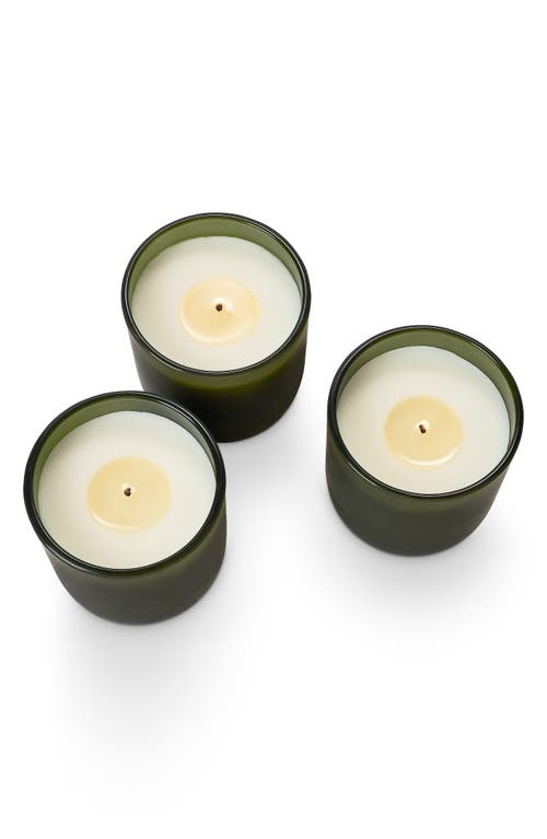 ILLUME® Balsam & Cedar Candle Trio Gift Set in Green 