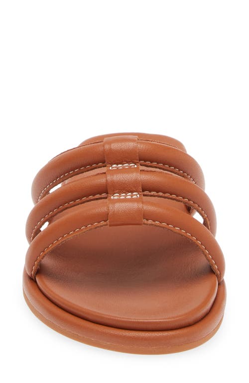 Olukai Tiare Slide Sandal In Fox/fox