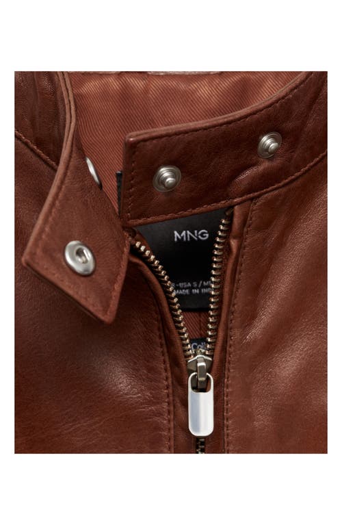 Shop Mango Leather Moto Jacket In Medium Brown