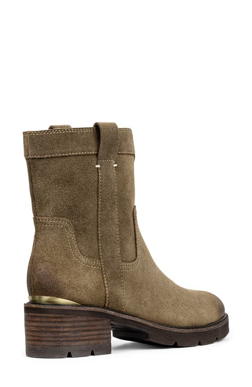 Shop Donald Pliner Endra Bootie In Biscotti