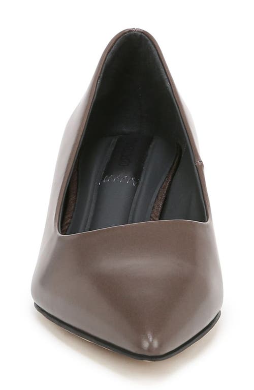 Shop Franco Sarto Racer Pointed Toe Pump In Brown