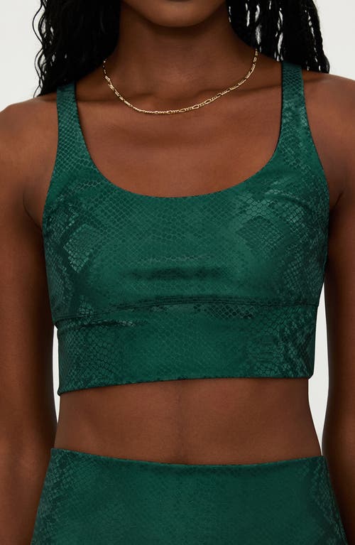 Shop Beach Riot Leah Sports Bra In Pine Python