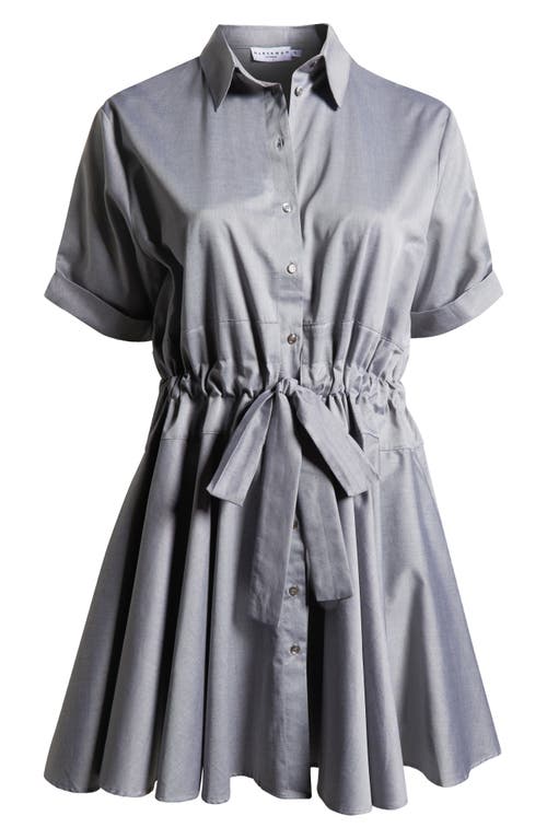 HARSHMAN HARSHMAN MEADOW DRAWSTRING WAIST SHIRTDRESS