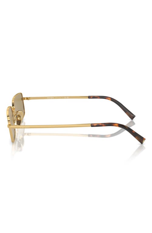 Prada 59mm Rectangular Sunglasses In Gold/olive