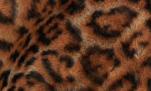 Apparis Brady Faux Fur Throw Blanket In Leopard