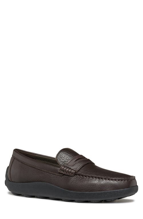 Shop Geox Spherica Penny Loafer In Coffee