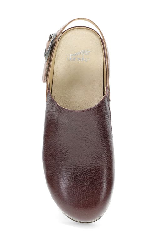 Shop Dansko Merrin Slingback Clog In Cordovan