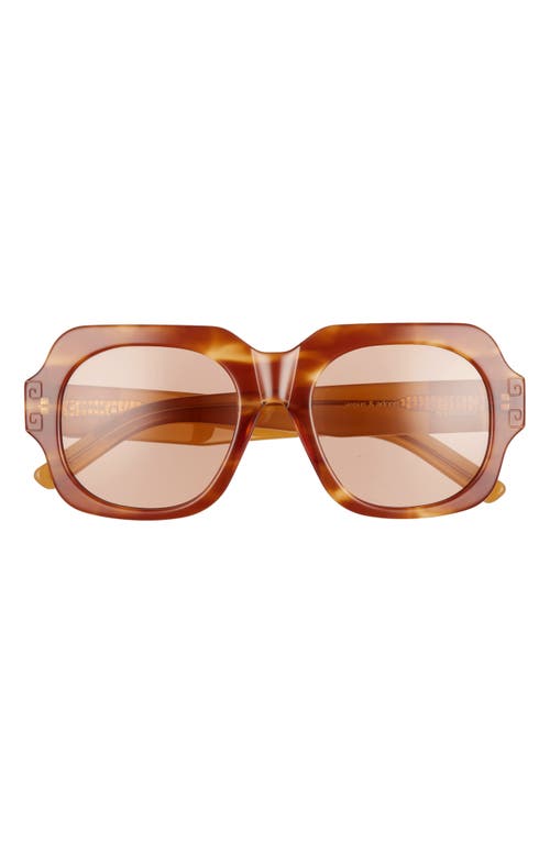 51.5mm Square Sunglasses in Havana Solid Amber Lenses