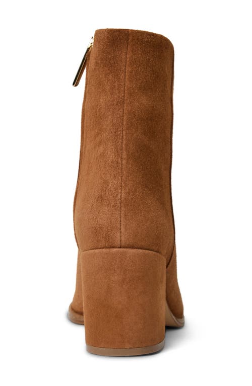 Shop Bruno Magli Fenice Bootie In Cognac Suede