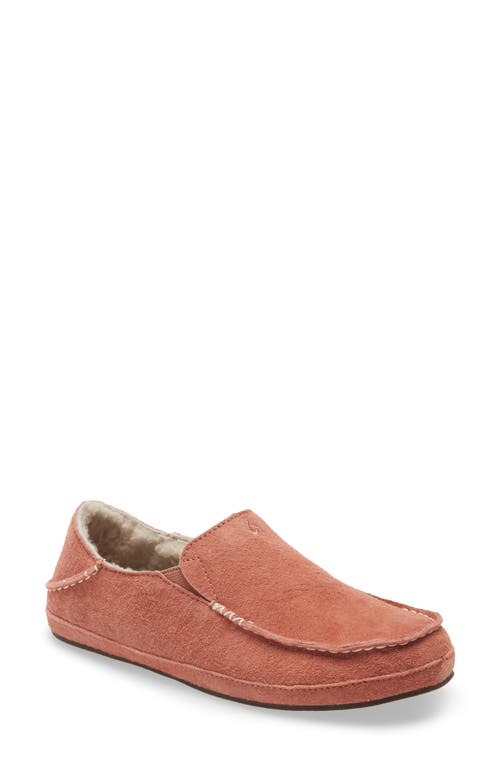 Shop Olukai Nohea Nubuck Slipper In Cedarwood/cedarwood Leather