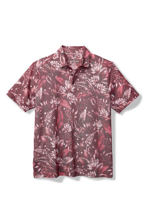 Shop Tommy Bahama Midnight Excursions Floral Piqué Polo In Cherry Stone