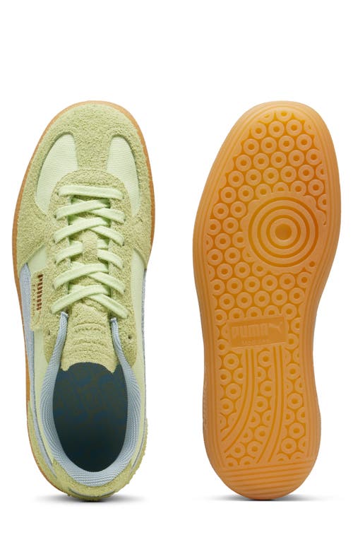 Shop Puma Palermo Sneaker In Cool Cucumber-frosted Dew-gold