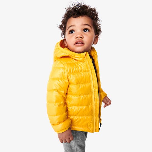Shop Primary Baby Lightweight Puffer Jacket In Mustard