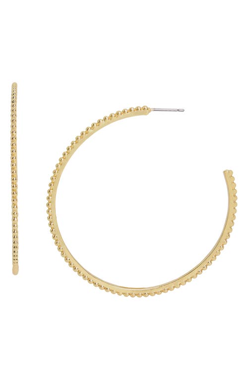 AllSaints Sculpted Ball Chain Hoop Earrings in Gold at Nordstrom