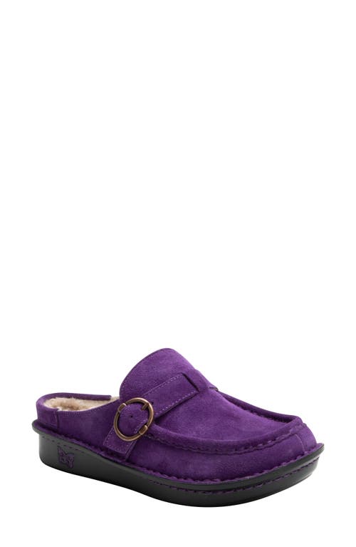 Shop Alegria By Pg Lite Clog In Deep Amethyst