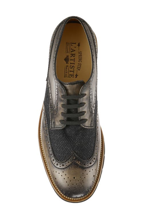 L'artiste By Spring Step Beaufort Derby In Black