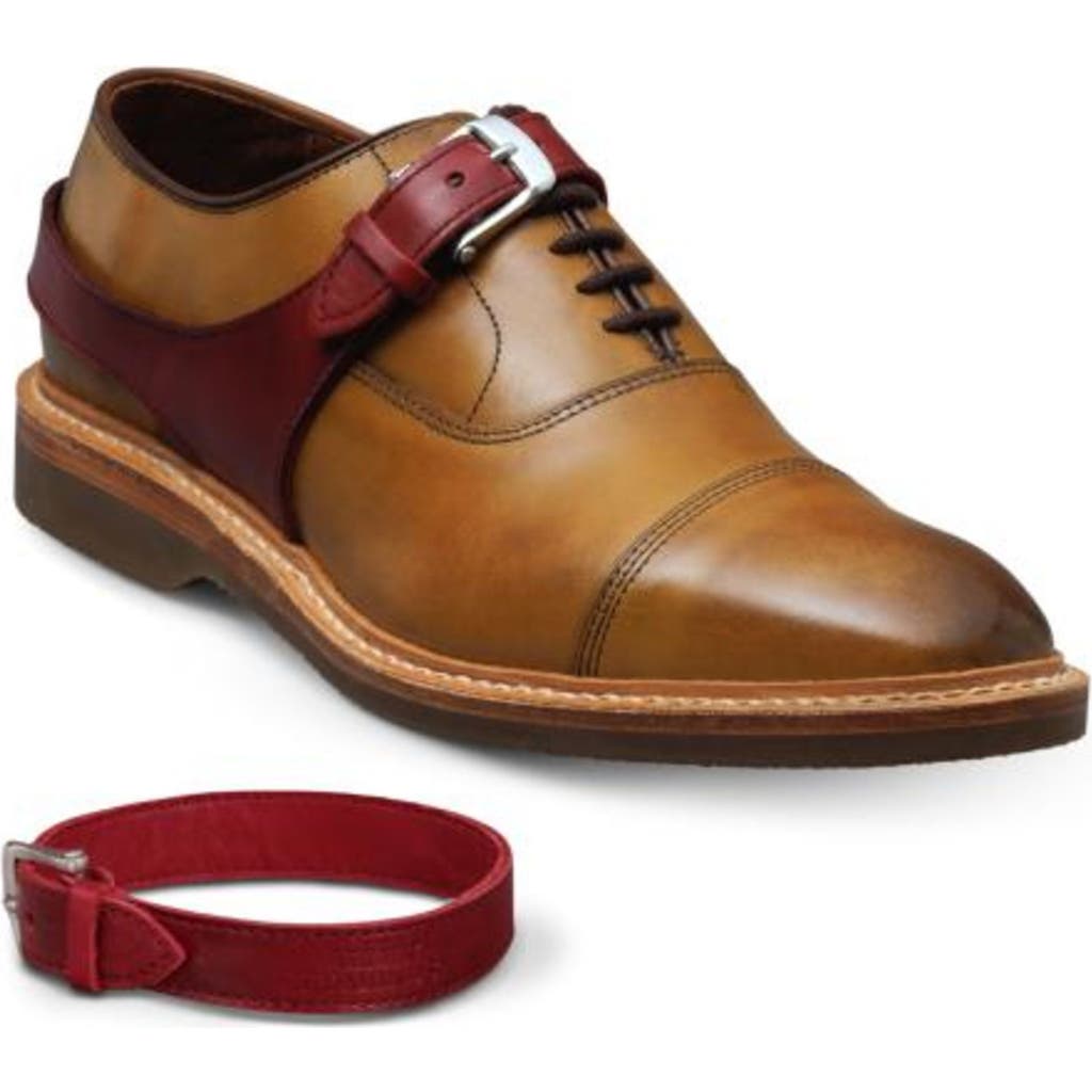Allen Edmonds Park Avenue Cap Toe Oxford With Buckle Harness In Walnut/red