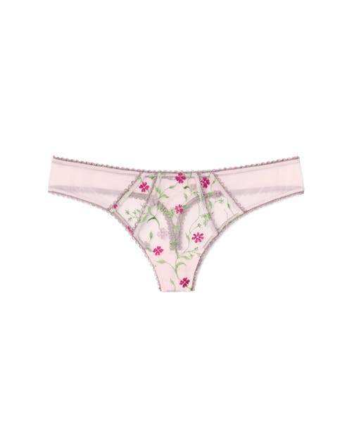 Shop Adore Me Rosa Thong Panties In Floral Purple