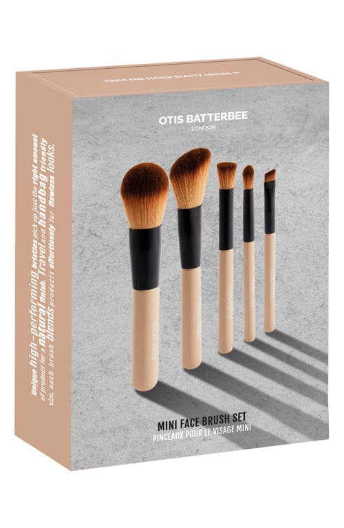 Mini 5-Piece Makeup Brush Set $40 Value in Beige