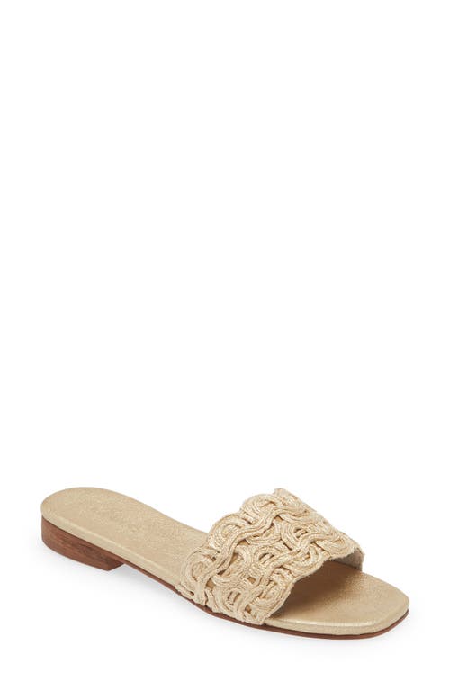 Nash Slide Sandal in Gold