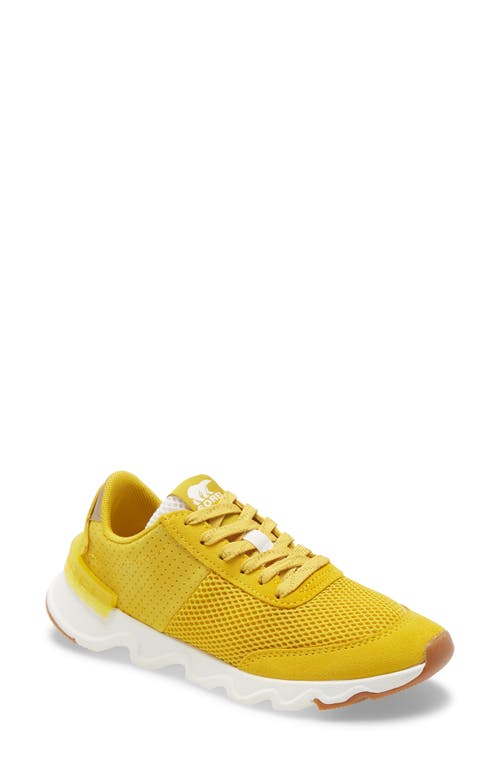 SOREL Kinetic Lite Sneaker in Gold Leaf Suede 