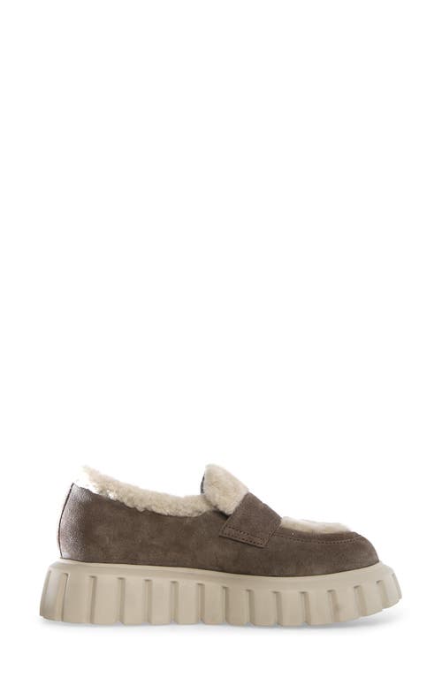 Voile Blanche Grenelle Wool Trim Platform Loafer In Grey