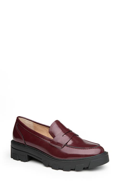 Laine Penny Loafer in Burgundy