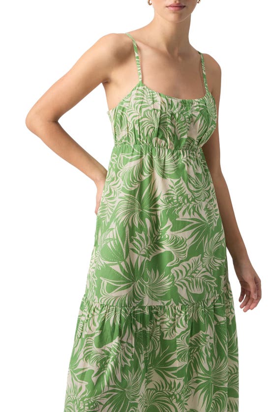 Shop Sanctuary Tiered Cotton Midi Dress In Cool Palm