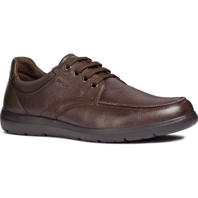Geox Leitan 5 Water Resistant Derby, Brown
