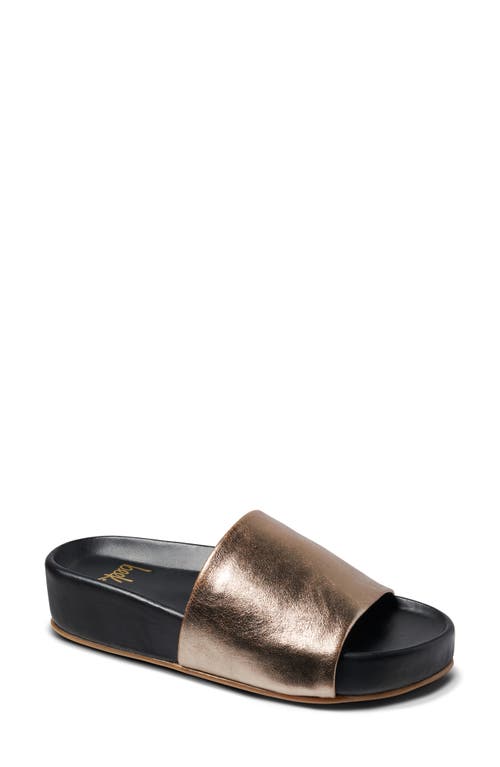 Shop Beek Pelican Slide Sandal In Bronze/black