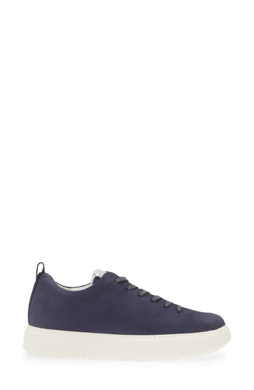 Shop Paul Green Upbeat Sneaker In Sea Alu Combo