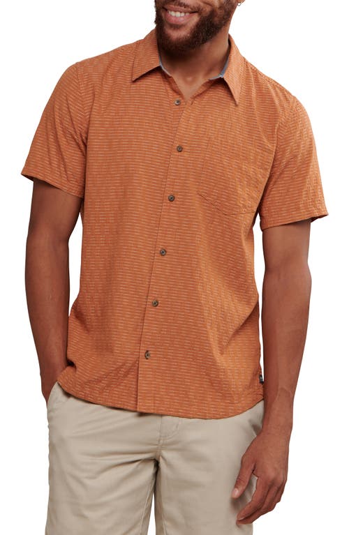 Harris Stripe Short Sleeve Organic Cotton Button-Up Shirt in Hazel