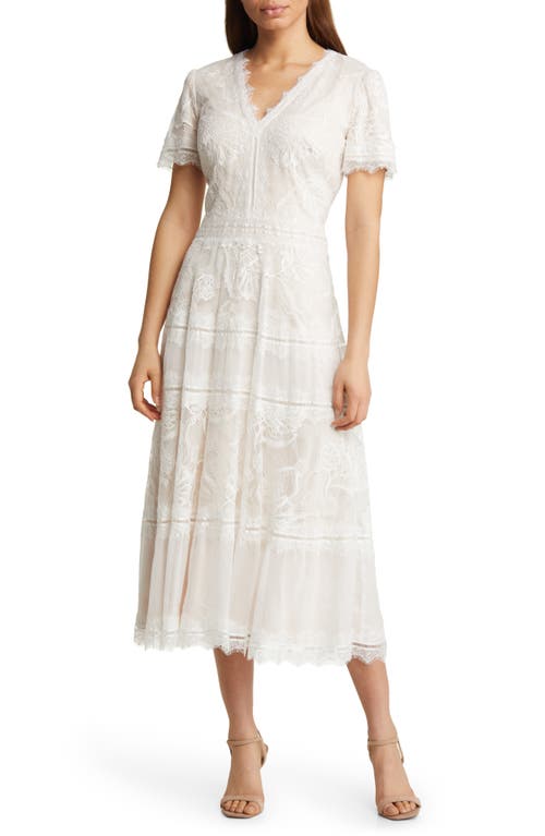 Shop Tadashi Shoji Lace & Mesh Midi Cocktail Dress In Ivory/petal