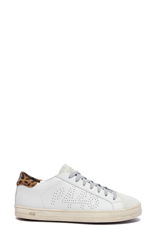 Shop P448 John Low Top Sneaker In White/leopard