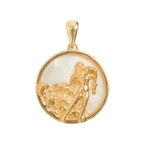 Freya Rose Zodiac Pendant In Aquarius