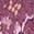 selected Brandywine color