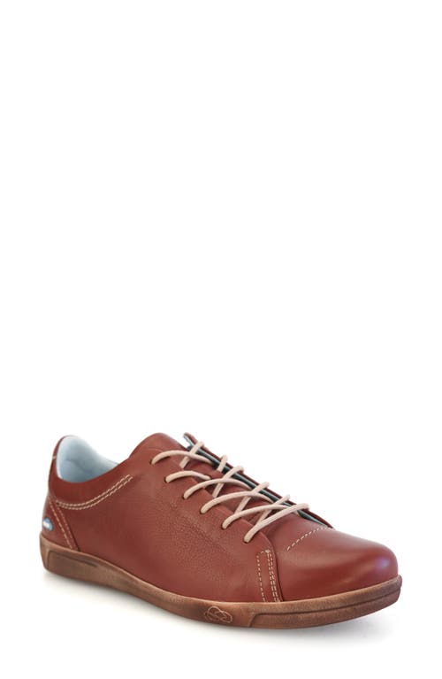 CLOUD Alanis Lace-Up Sneaker in Cherry Mahogany