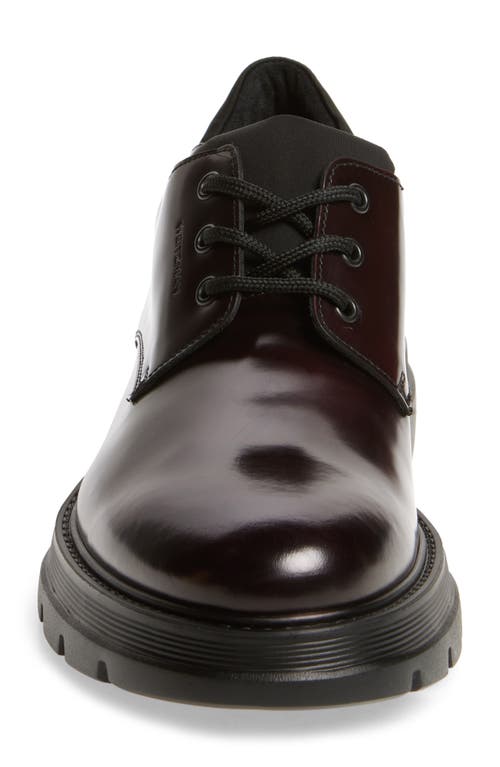 Stuart Weitzman Ajay Derby In Burgundy