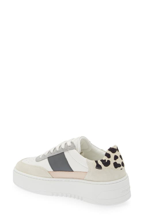 Shop Axel Arigato Orbit Platform Sneaker In White/cremino