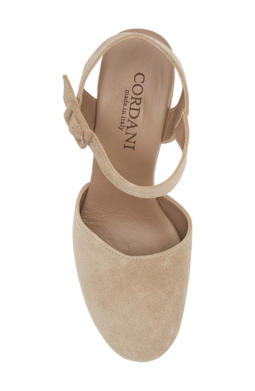Cordani Torin Ankle Strap Platform Pump In Tortora Suede